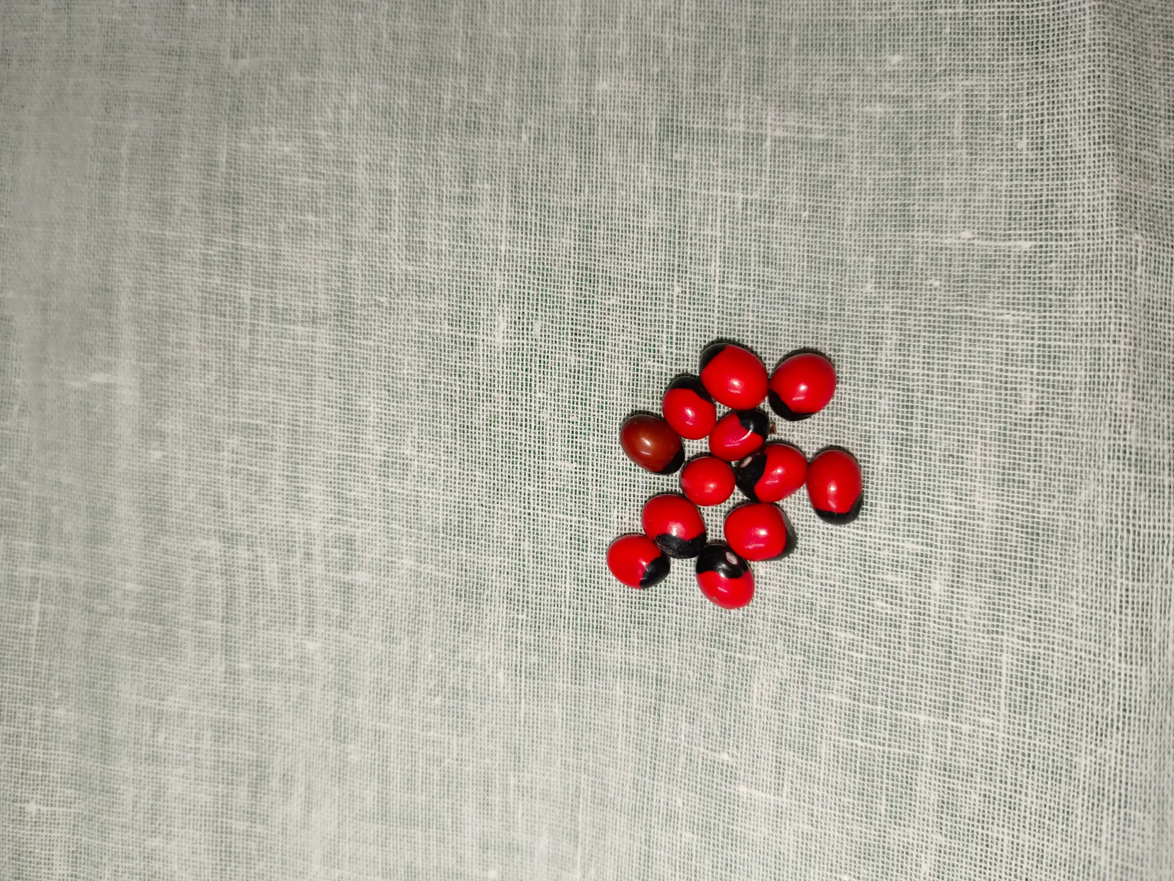 Puja Product